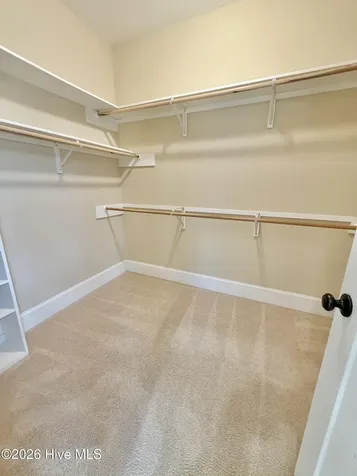 3047 Poplar Grove Drive Greenville NC 27858