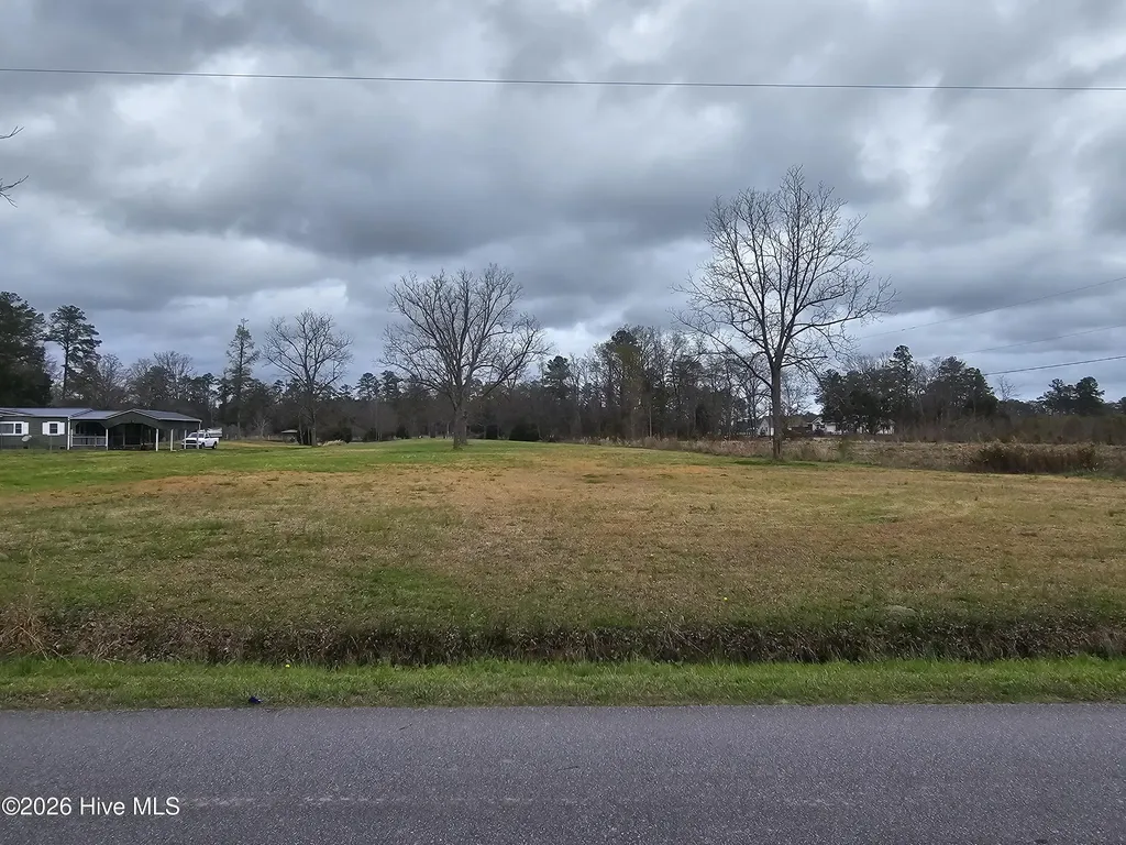 251 Alligator Loop Road Merritt NC 28556