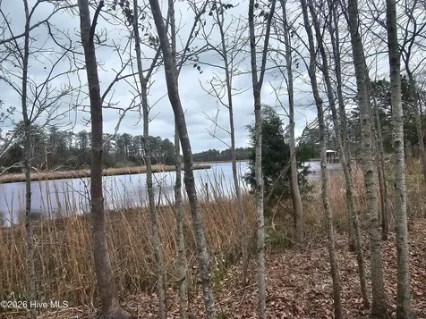 251 Alligator Loop Road Merritt NC 28556