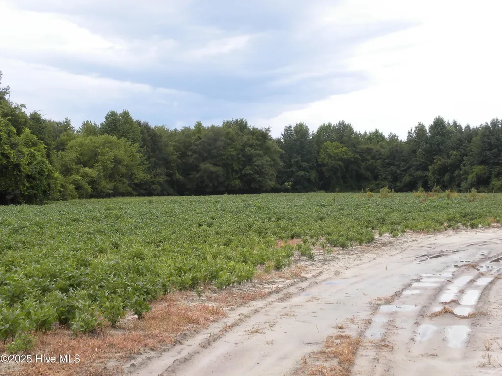 Tbd Conetoe Road Greenville NC 27834