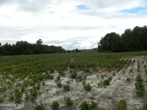 Tbd Conetoe Road Greenville NC 27834