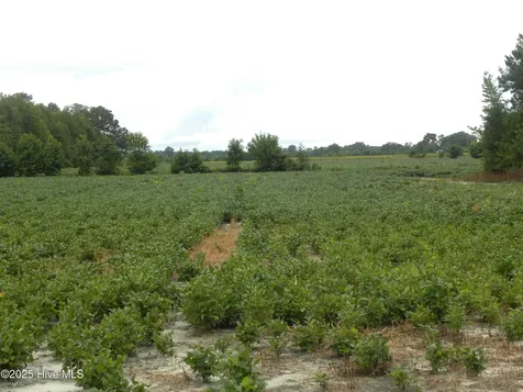 Tbd Conetoe Road Greenville NC 27834