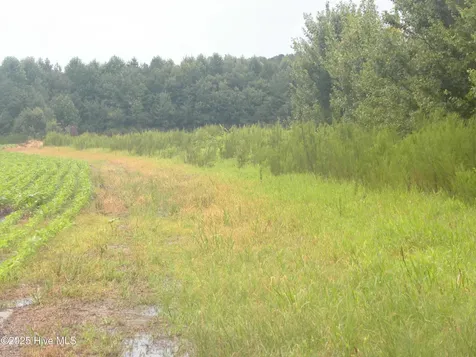 Tbd Conetoe Road Greenville NC 27834