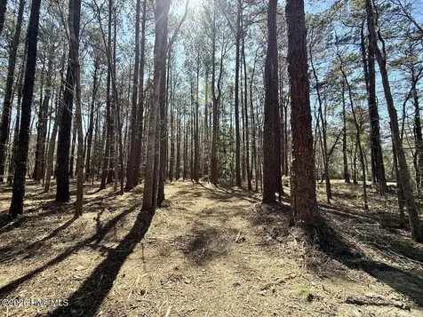 0 Lot 2 Creek Place Road Arapahoe NC 28510