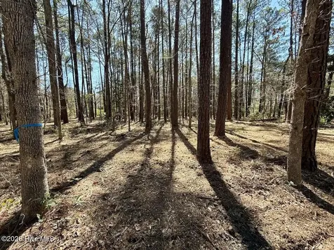 0 Lot 2 Creek Place Road Arapahoe NC 28510