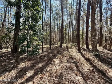 0 Lot 2 Creek Place Road Arapahoe NC 28510