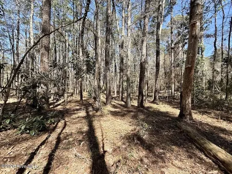 0 Lot 2 Creek Place Road Arapahoe NC 28510