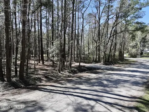 0 Lot 2 Creek Place Road Arapahoe NC 28510
