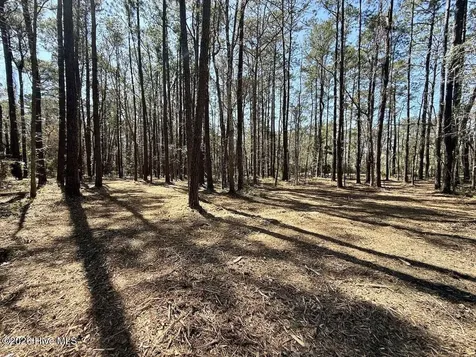 0 Lot 1 Creek Place Road Arapahoe NC 28510