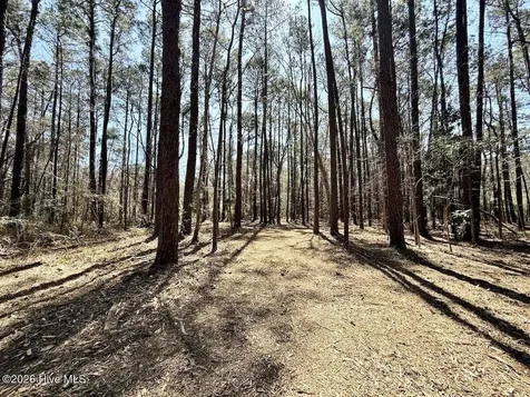 0 Lot 1 Creek Place Road Arapahoe NC 28510