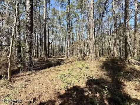 0 Lot 1 Creek Place Road Arapahoe NC 28510