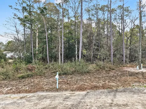 914 Cypress Lakes Circle SE Bolivia NC 28422