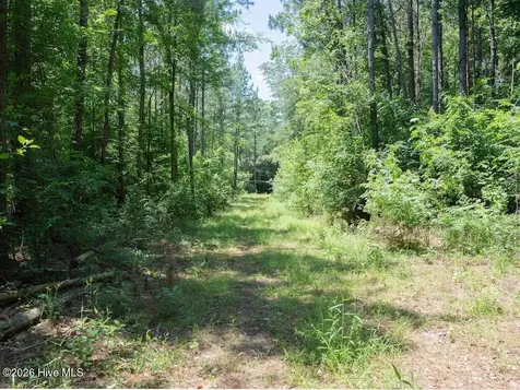 00 Highway 42 Tarboro NC 27886