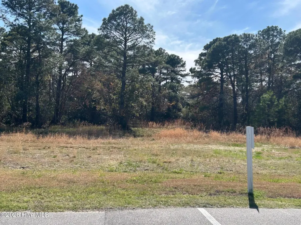 1609 Caracara Drive New Bern NC 28560