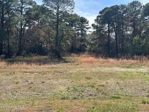 1609 Caracara Drive New Bern NC 28560