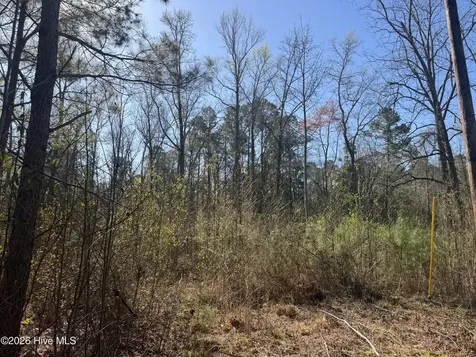 0 Little Prong Road NW Ash NC 28420