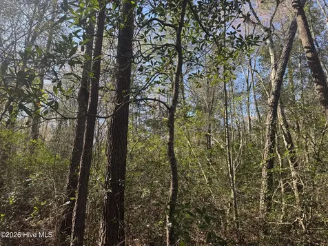 0 Little Prong Road NW Ash NC 28420