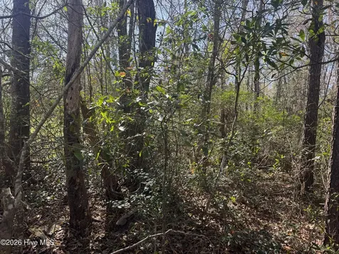 0 Little Prong Road NW Ash NC 28420