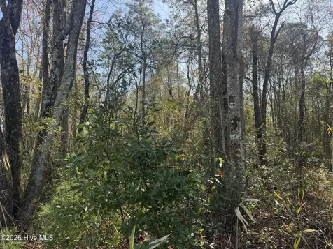 0 NW Little Prong Road NW Ash NC 28420