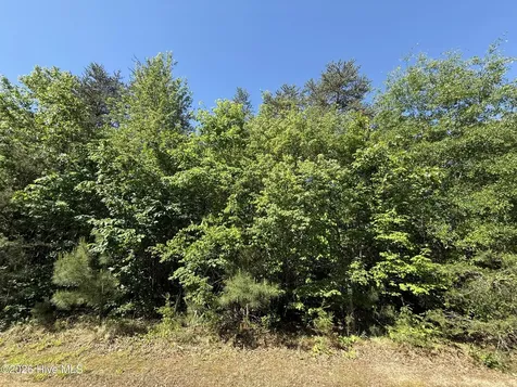 173 Lake View Pass Rockingham NC 28379