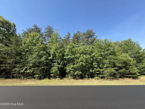 173 Lake View Pass Rockingham NC 28379