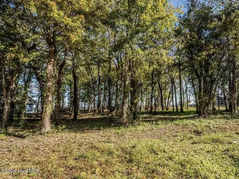 137-140 Near 3461 Waccamaw Road S Lake Waccamaw NC 28450
