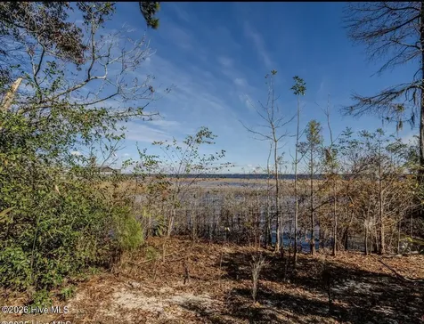 135-136 Near 3461 Waccamaw Road S Lake Waccamaw NC 28450