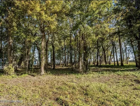 135-136 Near 3461 Waccamaw Road S Lake Waccamaw NC 28450
