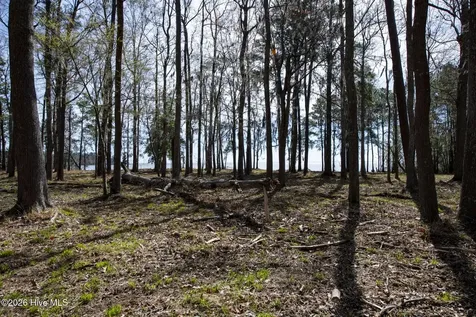 Lot 6 Peninsula Shores Way Hertford NC 27944