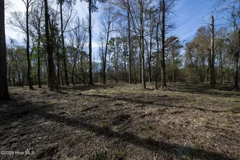Lot 6 Peninsula Shores Way Hertford NC 27944