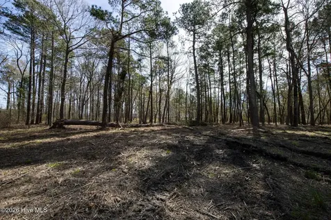 Lot 6 Peninsula Shores Way Hertford NC 27944