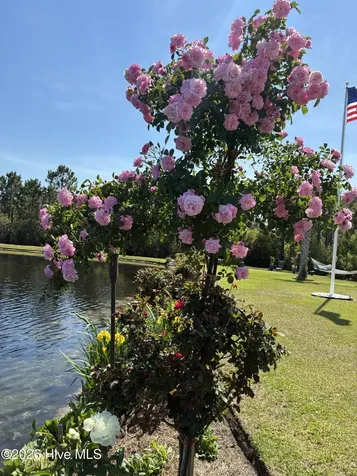 3005 Pine Bay Court Southport NC 28461