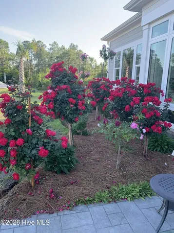 3005 Pine Bay Court Southport NC 28461