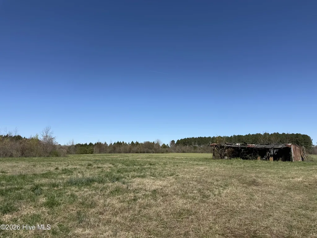 358 Flat Branch Road Gatesville NC 27938
