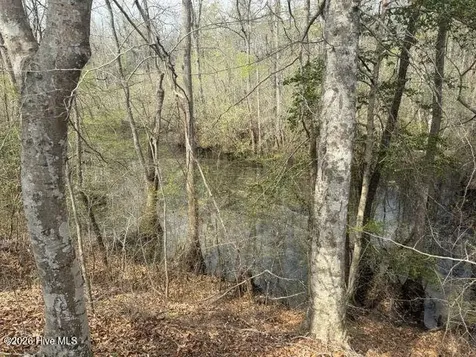 358 Flat Branch Road Gatesville NC 27938