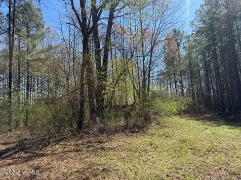 358 Flat Branch Road Gatesville NC 27938
