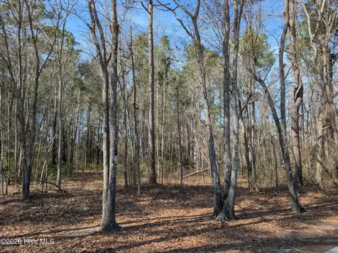 Wallace NC 28466