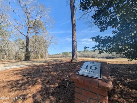 Wallace NC 28466
