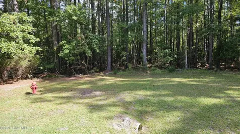 168 Arnetta Way N Oriental NC 28571