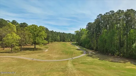 451 Thimbleberry Drive Vass NC 28394
