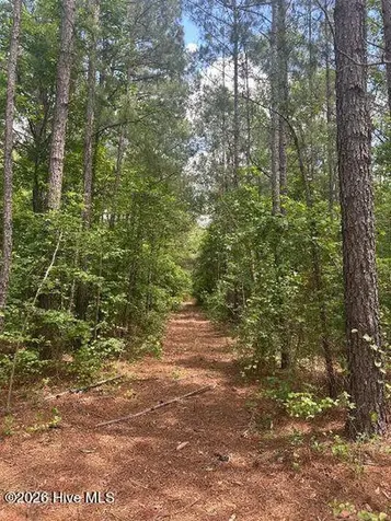 0 Saintsville Road Greenville NC 27834