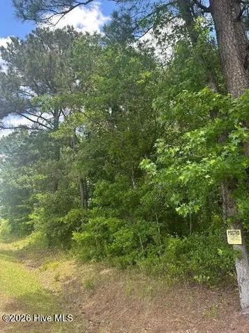 0 Saintsville Road Greenville NC 27834