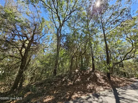 39 Fort Holmes Trail Bald Head Island NC 28461