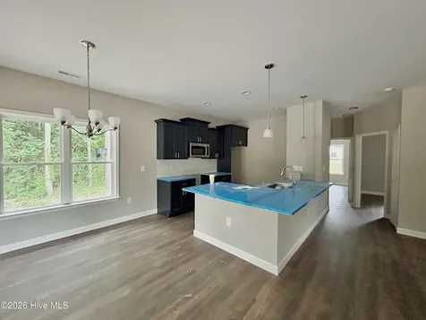 1703 Walnut Run Drive Deep Run NC 28525