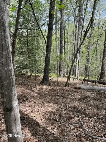 Lot 21 Equestrian Lane Carthage NC 28327