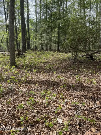Lot 21 Equestrian Lane Carthage NC 28327