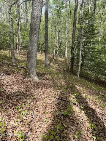 Lot 21 Equestrian Lane Carthage NC 28327