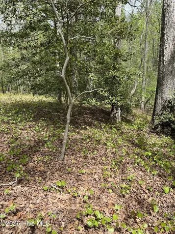 Lot 21 Equestrian Lane Carthage NC 28327