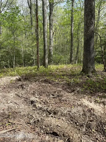 Lot 21 Equestrian Lane Carthage NC 28327