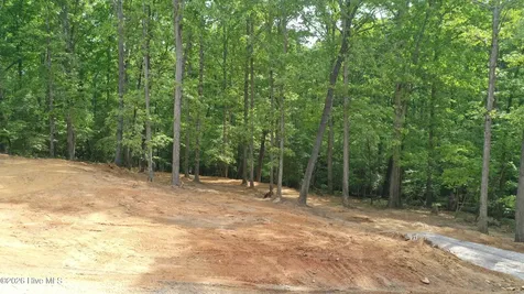 Lot 21 Equestrian Lane Carthage NC 28327